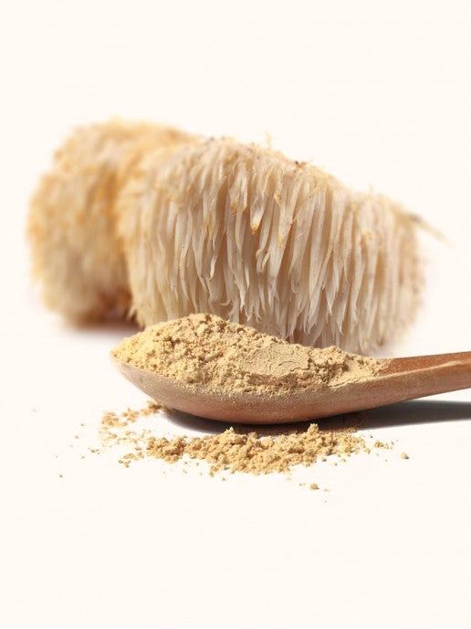 Lion´s Mane Mushroom Powder