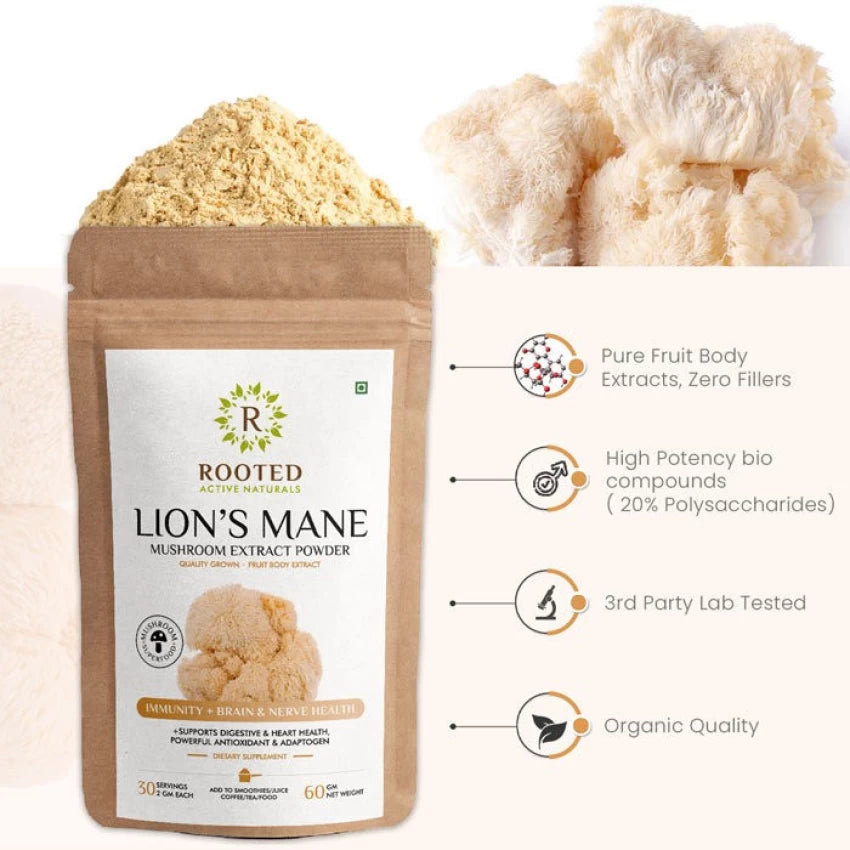 Lion´s Mane Mushroom Powder